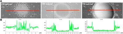 Temporal-Spatial Measurement of Surface Morphological Evolution Time in Nanosecond Laser Irradiation on the Copper Film